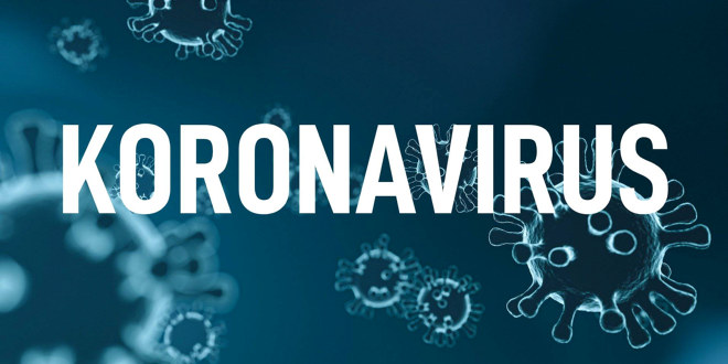 Image result for koronavirus